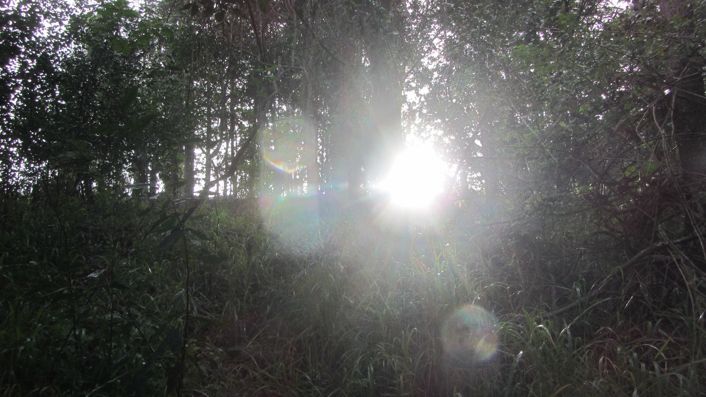 Initial Site Assessment