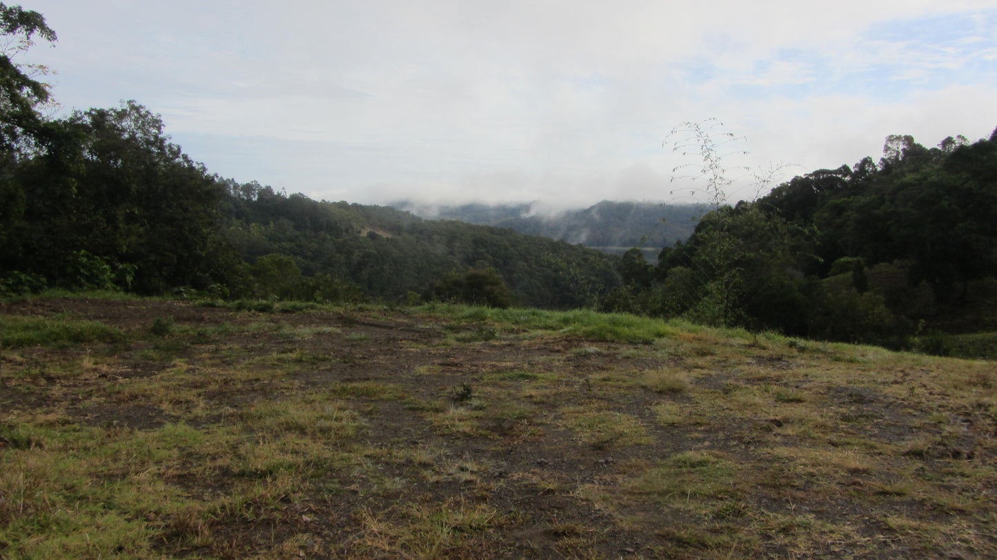 Initial Site Assessment